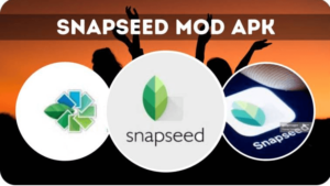 Snapseed Mod APK download for pc (Premium/Unlocked All) 1