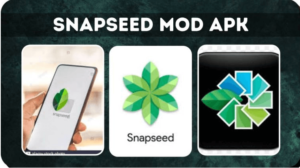Snapseed Mod APK download for pc (Premium/Unlocked All) 2