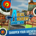 Archery King 3D MOD APK (MOD, Stamina) Unlimited Money 9