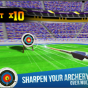 Archery King 3D MOD APK (MOD, Stamina) Unlimited Money 3