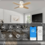 Ceiling Fan Remote